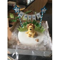A gorgeous fondant lion on on iced round cake