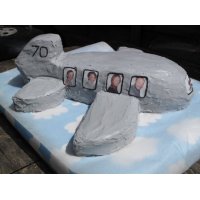 Plane cake with customer photographs