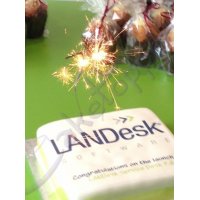Close-up of LANDesk's software launch cake